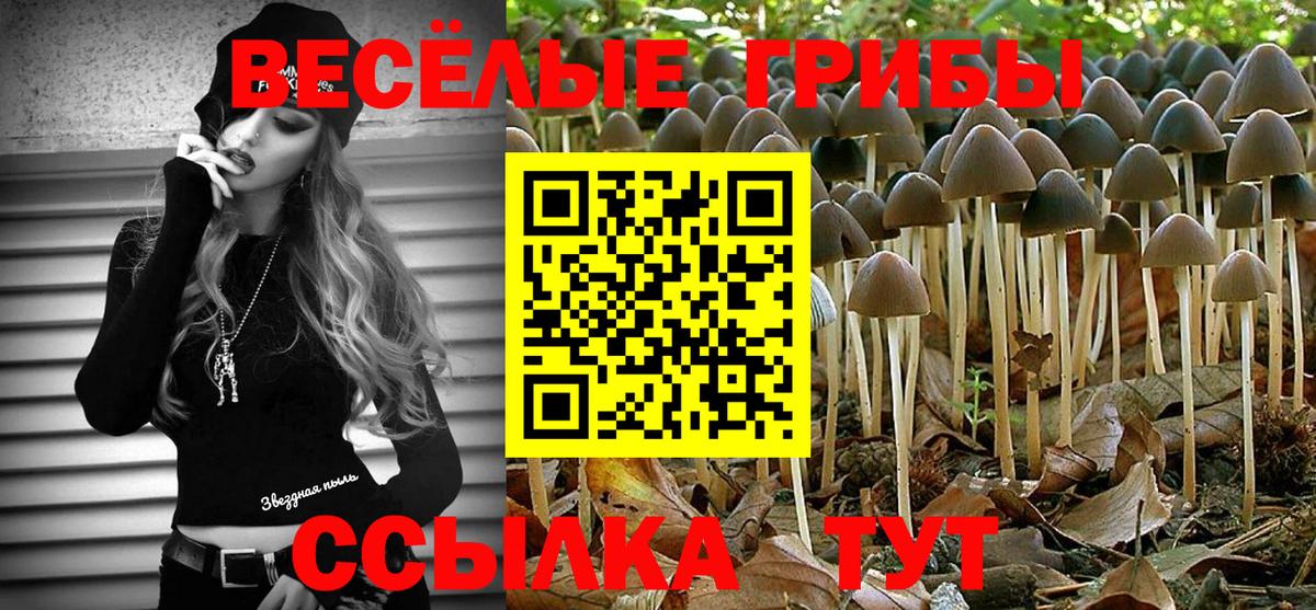 Псилоцибиновые грибы Magic Shrooms Кирово-Чепецк